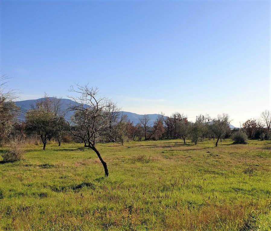 Rustico / casale a Sessa aurunca - Foto 5