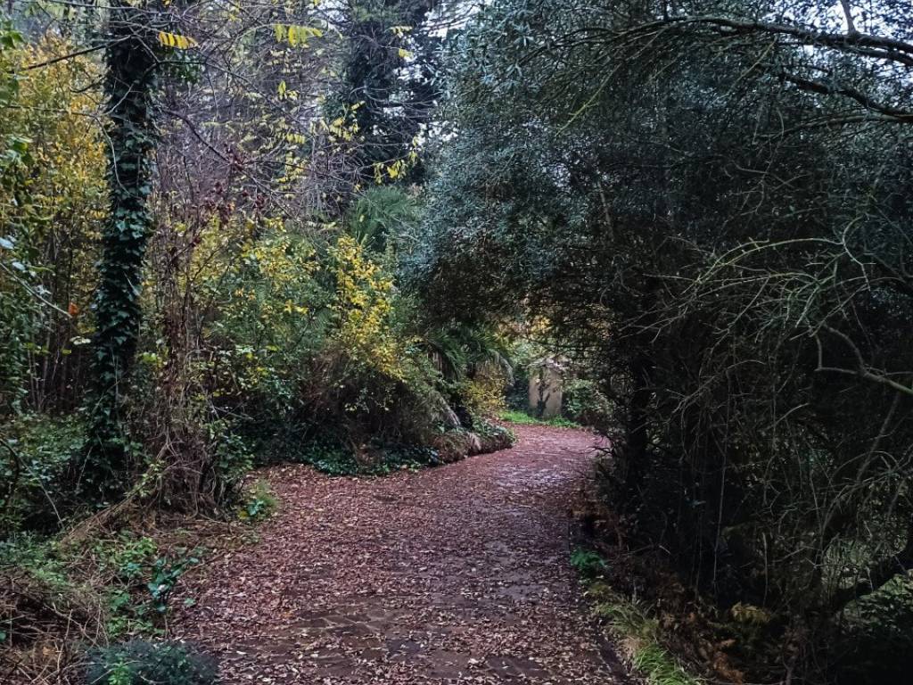 Villa a Agugliano - Foto 4