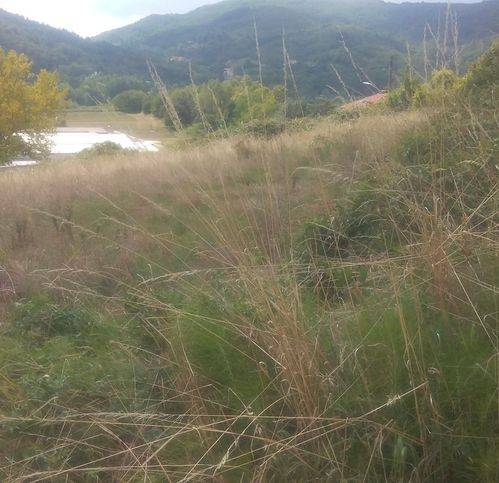 Terreno a Casella - Foto 2