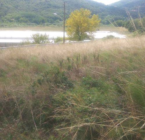 Terreno a Casella - Foto 3