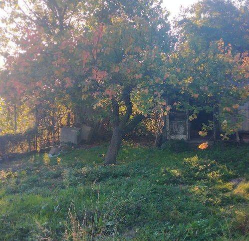 Villa a Serra riccò - Foto 3