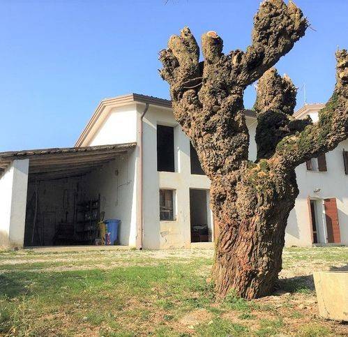 Villa a Nervesa della battaglia - Foto 3