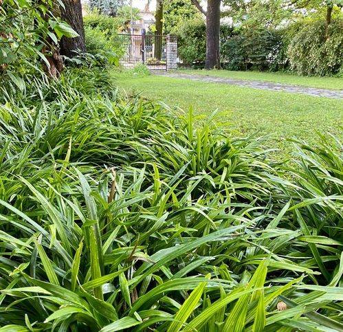 Villa a Susegana - Foto 3