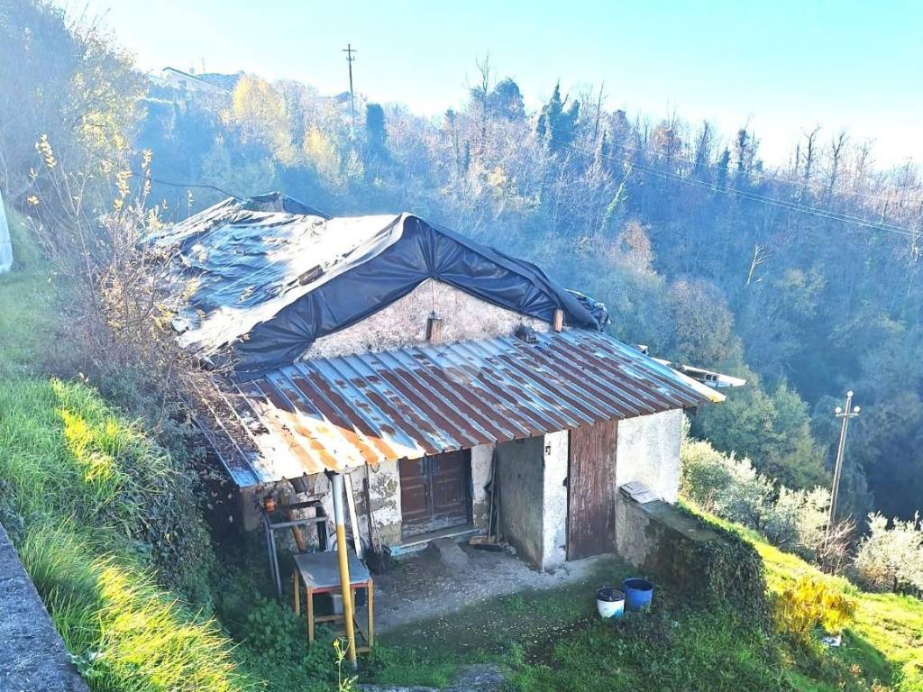 Rustico / casale a Paliano in Via Piano dei Colli - Foto 3