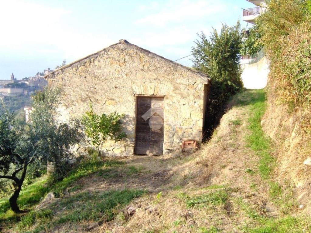 Rustico / casale a Paliano in Via Piano dei Colli - Foto 4