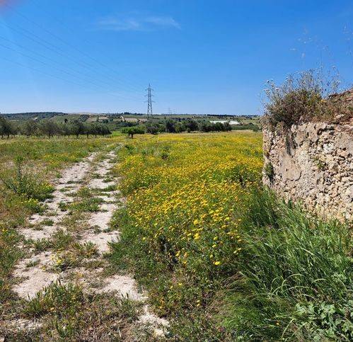 Terreno a Noto - Foto 2