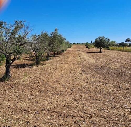 Terreno a Noto - Foto 3