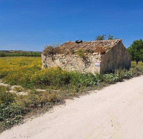 Terreno a Noto - Foto 4