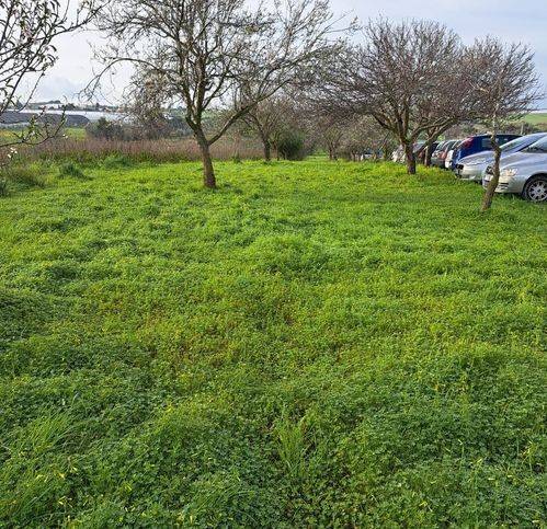 Terreno a Pachino in C/Da Carrata - Foto 3