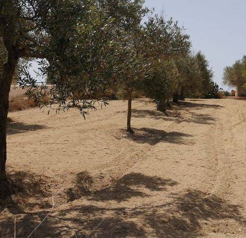 Terreno a Pachino in C/Da Cozzi - Foto 2