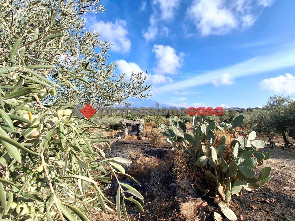 Terreno a Belpasso - Foto 2