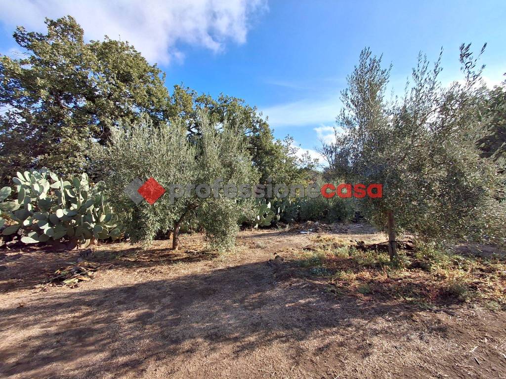 Terreno a Belpasso - Foto 3