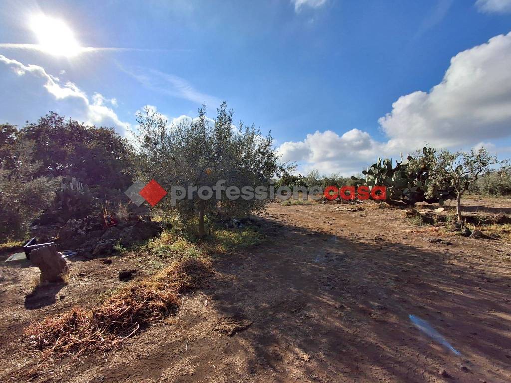 Terreno a Belpasso - Foto 4