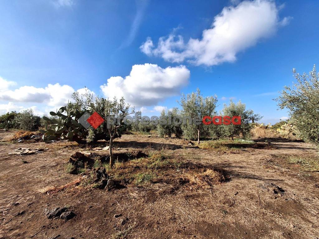 Terreno a Belpasso - Foto 5