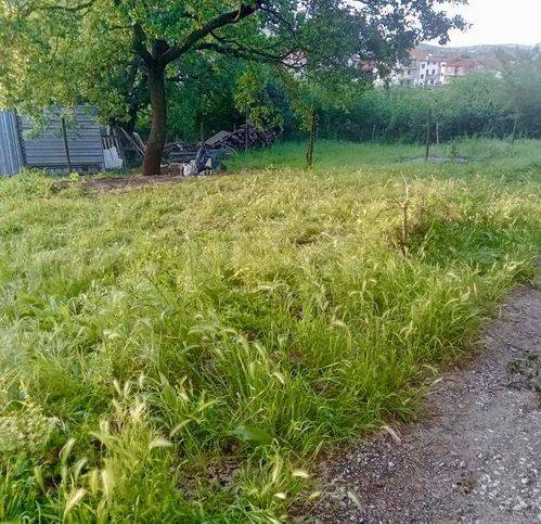 Terreno a Monte romano in Via Barone Vicino - Foto 2