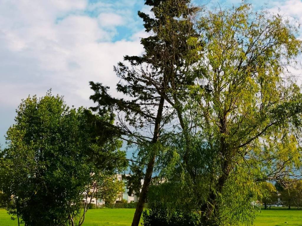 Appartamento a Prato in Via Marie Curie - Foto 2