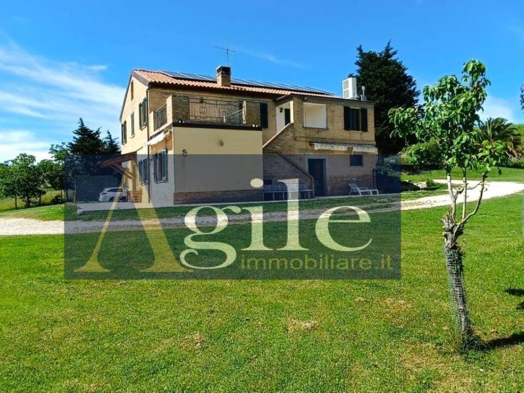 Rustico / casale a Castignano in contrada rufiano, 59 - Foto 2