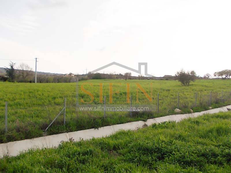 Terreno a Grottaminarda in Contrada Toppolo - Foto 5