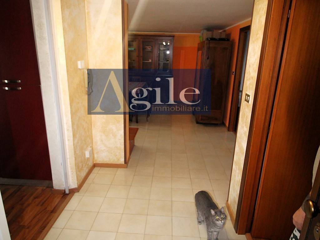 Appartamento a Maltignano in PIAZZA ADDA, 2 - Foto 5