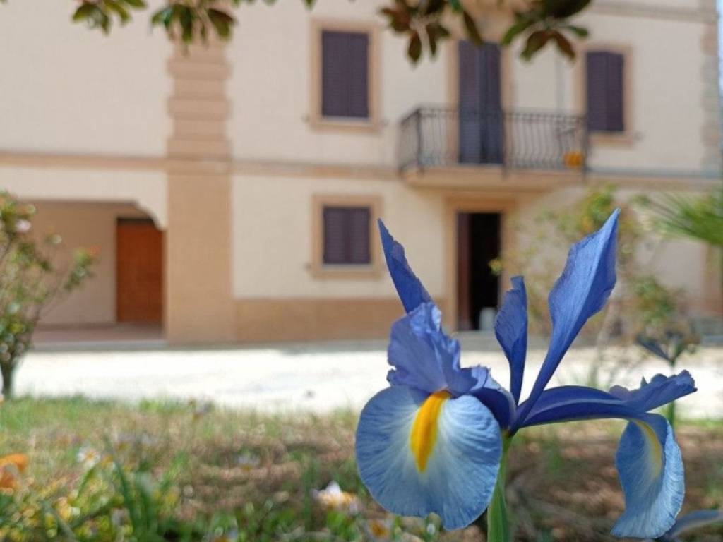 Casa indipendente a Osimo in SAN BIAGIO - Foto 2