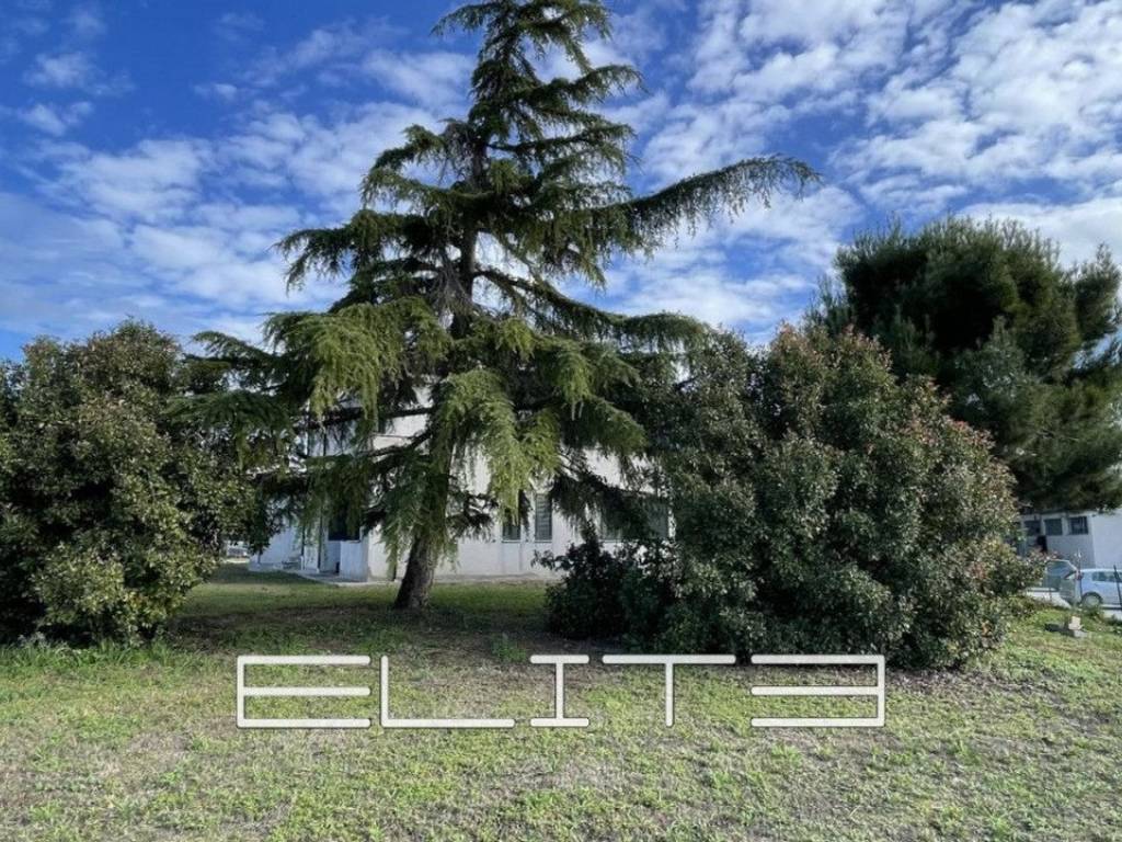Casa indipendente a Osimo - Foto 2