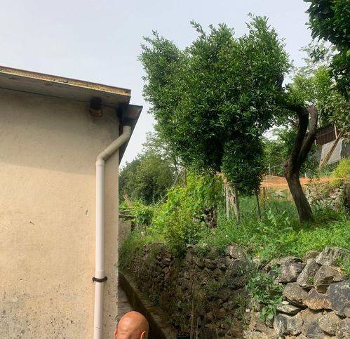 Villa a Lamezia terme in Via Conforti 135 - Foto 3
