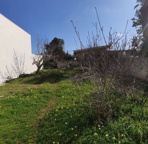 Terreno a Soleto in Via Ciro Menotti 6 - Foto 2