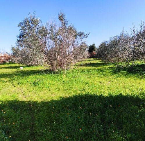 Terreno a Soleto in Via Ciro Menotti 6 - Foto 4