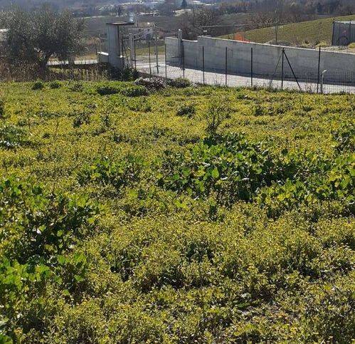 Terreno a Rosciano in Via Ennio Flaiano - Foto 2