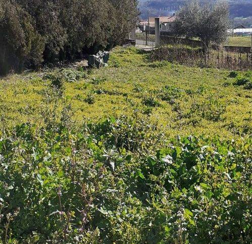 Terreno a Rosciano in Via Ennio Flaiano - Foto 3