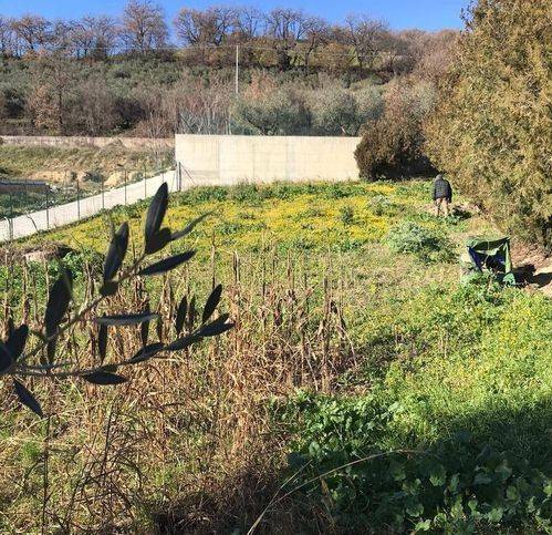 Terreno a Rosciano in Via Ennio Flaiano - Foto 4