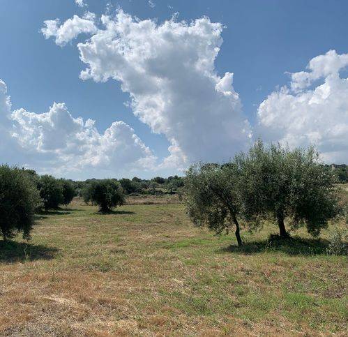 Terreno a Belpasso in Via Camera - Foto 3