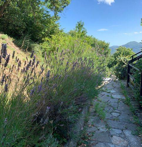 Appartamento a Isola del cantone in Via Borlasca 39 - Foto 4