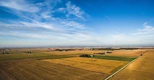 Terreno a Calenzano in Via di Baroncoli - Foto 5