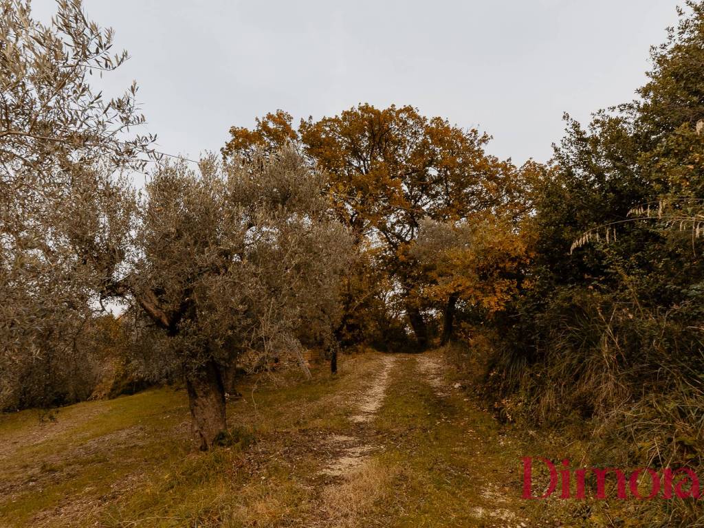 Rustico / casale a Toffia in Vocabolo Maglialunga - Foto 5