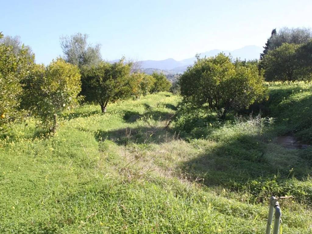 Terreno a Campofelice di roccella in Contrada Calzata No Number - Foto 2