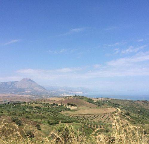 Terreno a Collesano in Contrada Sulla - Foto 3
