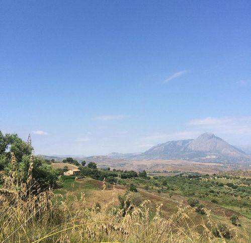Terreno a Collesano in Contrada Sulla - Foto 5