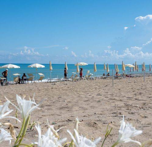 Villetta a schiera a Campofelice di roccella in Viale Delle Tribune 9 - Foto 5