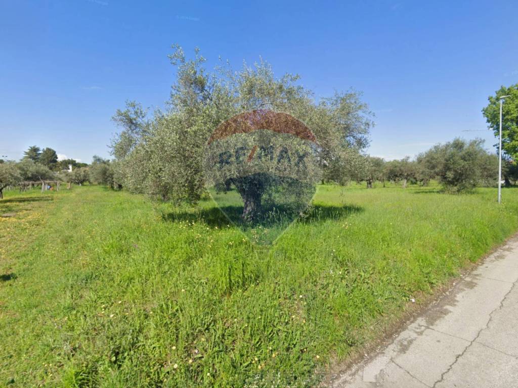 Terreno a Cepagatti in Via Aurora - Foto 2