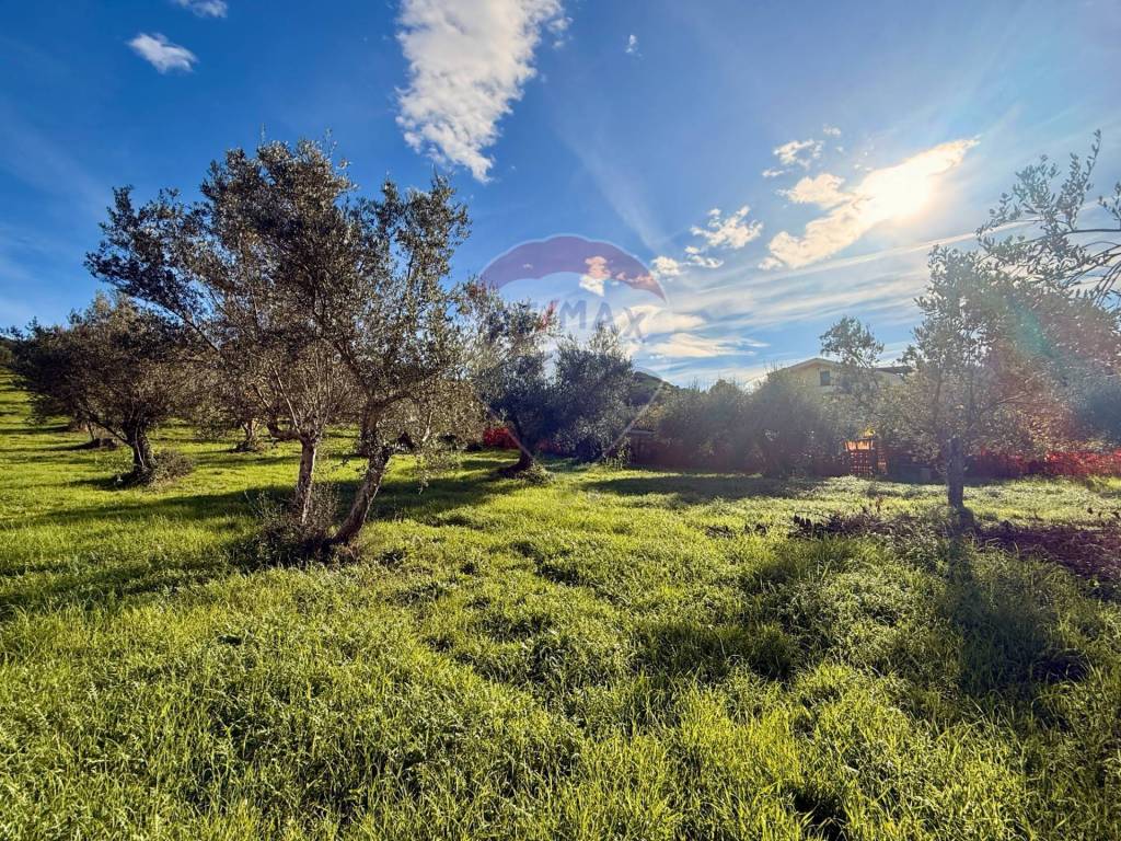 Terreno a Montesilvano - Foto 3