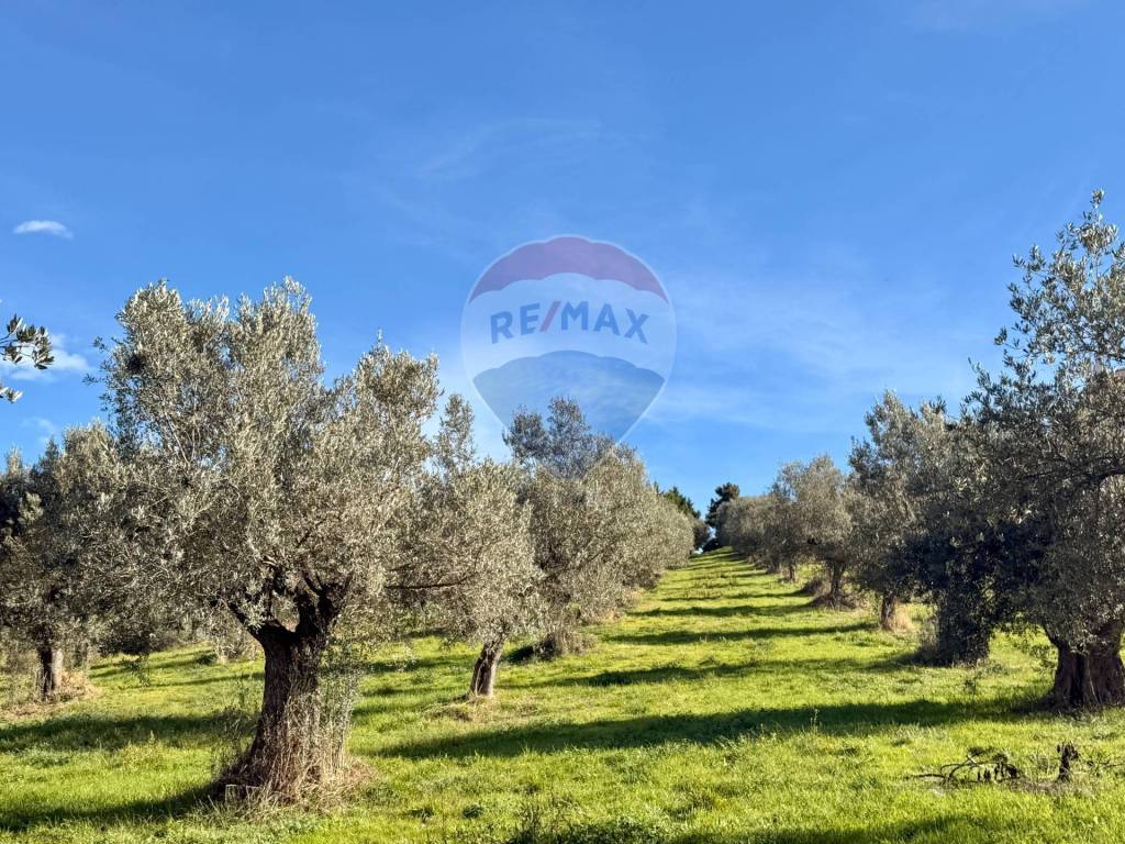 Terreno a Montesilvano - Foto 4