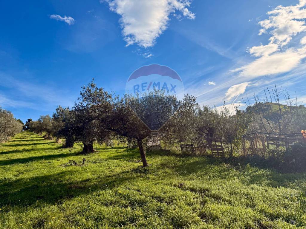 Terreno a Montesilvano - Foto 5