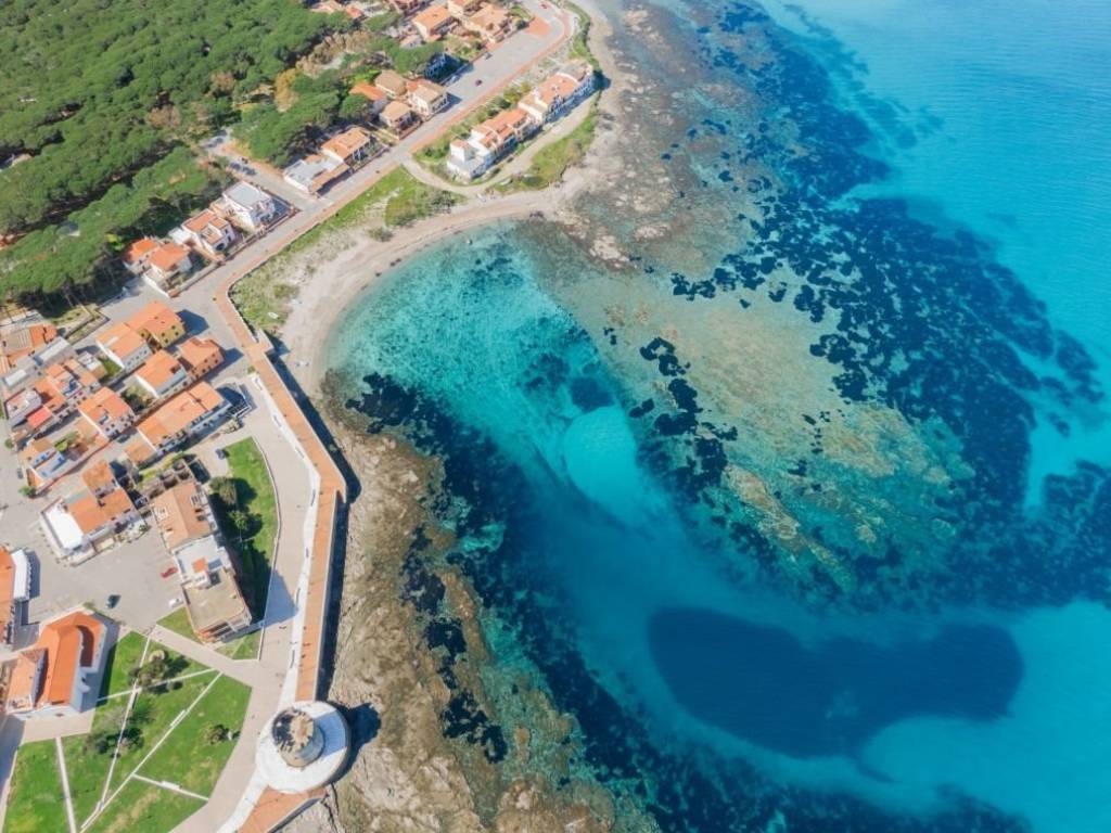 Casa indipendente a Siniscola - Foto 5