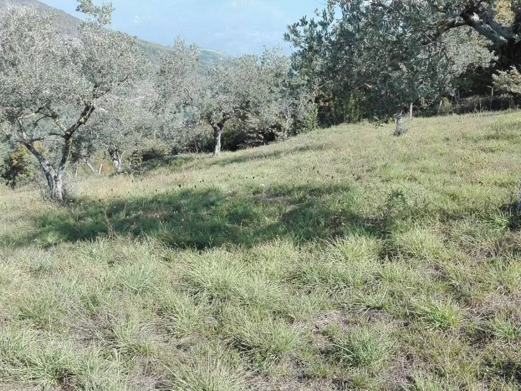 Terreno a Fumone - Foto 2