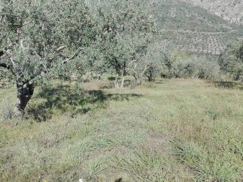 Terreno a Fumone - Foto 3