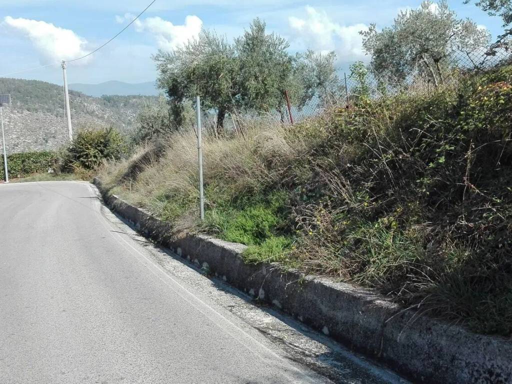 Terreno a Fumone - Foto 4