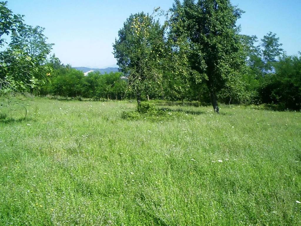 Villa a Supino - Foto 4