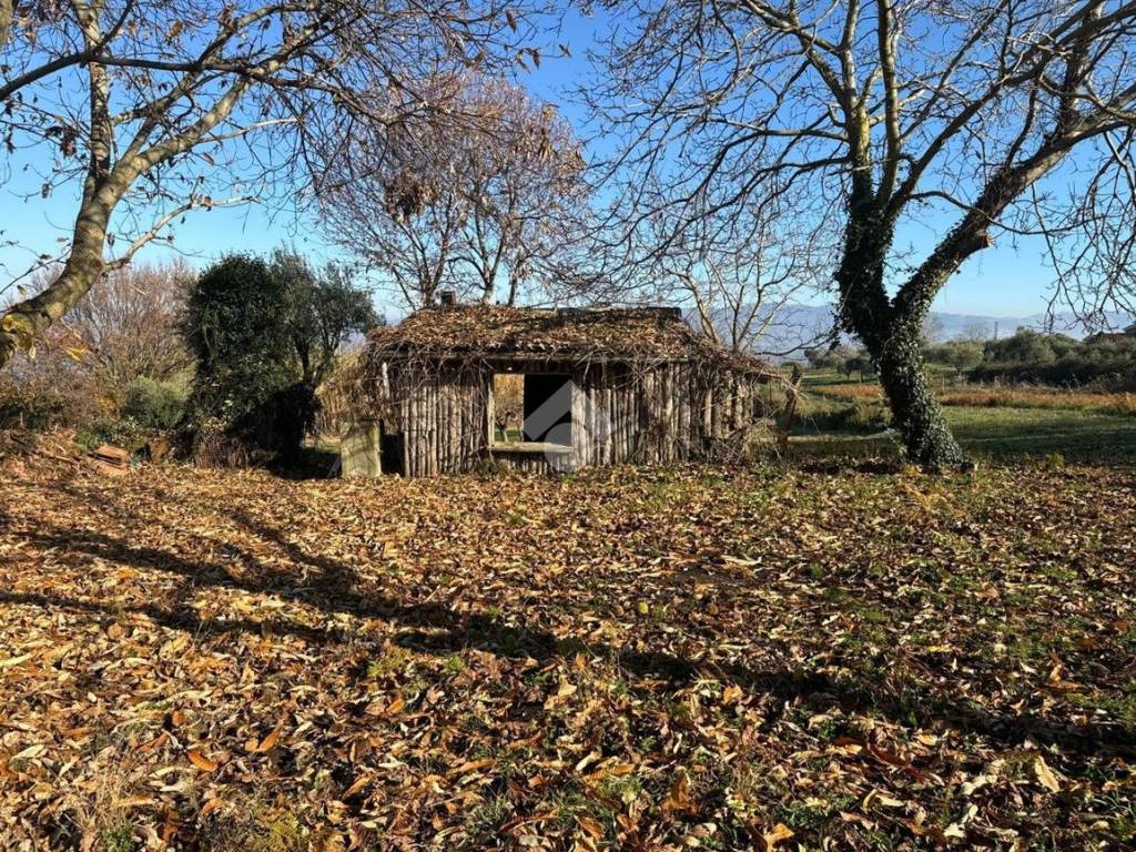 Terreno a San cesareo in Via della Faeta, 32 - Foto 3