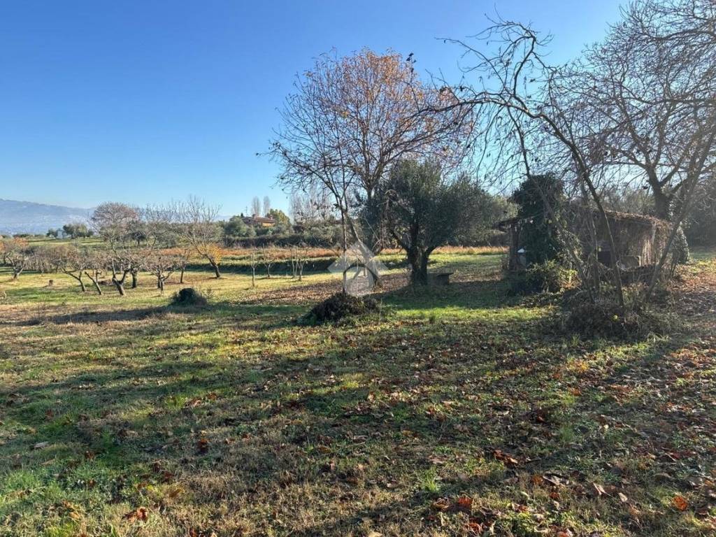 Terreno a San cesareo in Via della Faeta, 32 - Foto 5